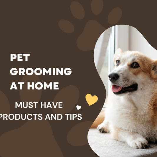 A Guide to Pet Grooming at Home: Must-Have Products and Tips