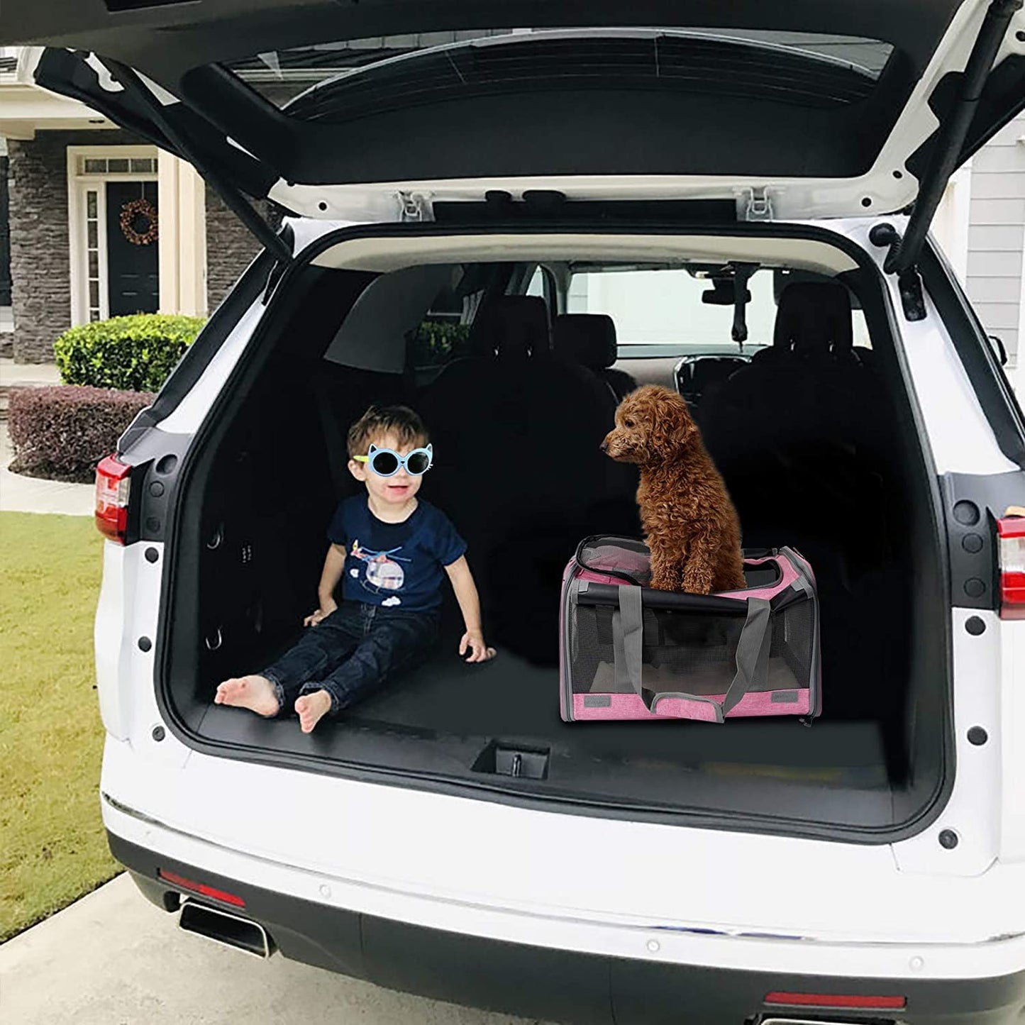 Pet Carrier