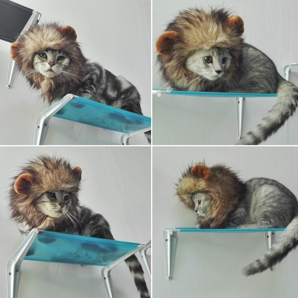 Lion Mane Wig