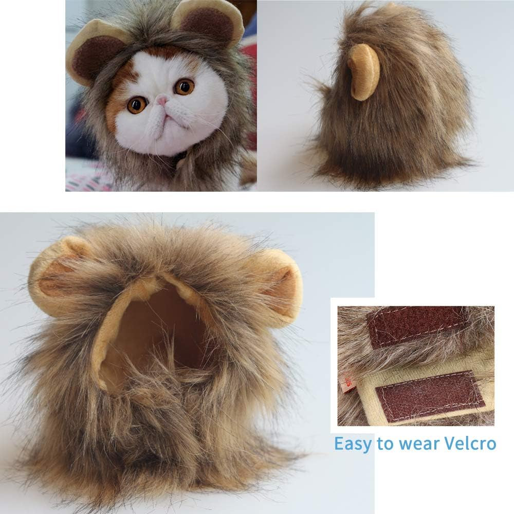 Lion Mane Wig