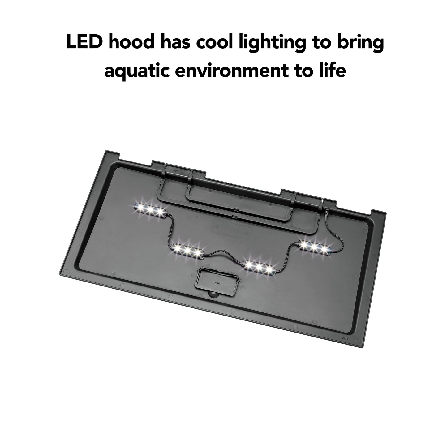Aquarium Starter Kit