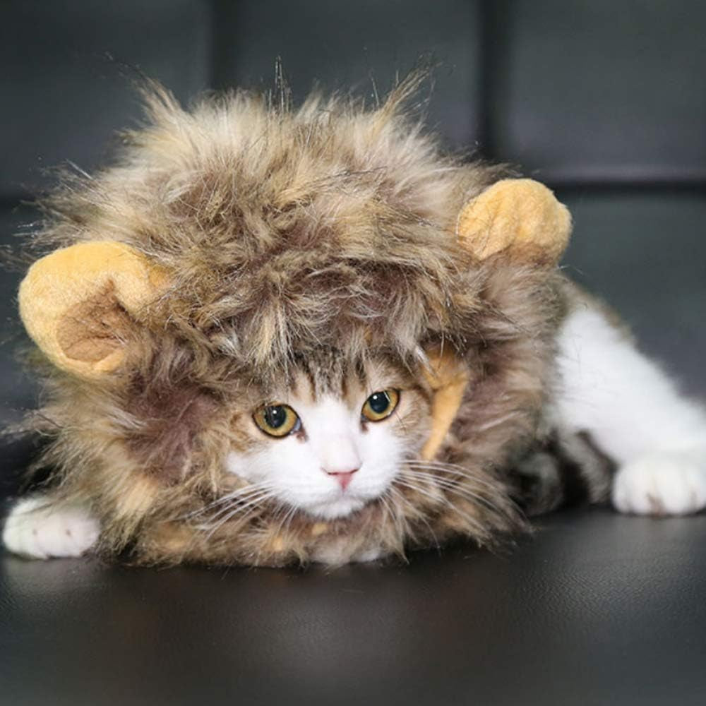 Lion Mane Wig