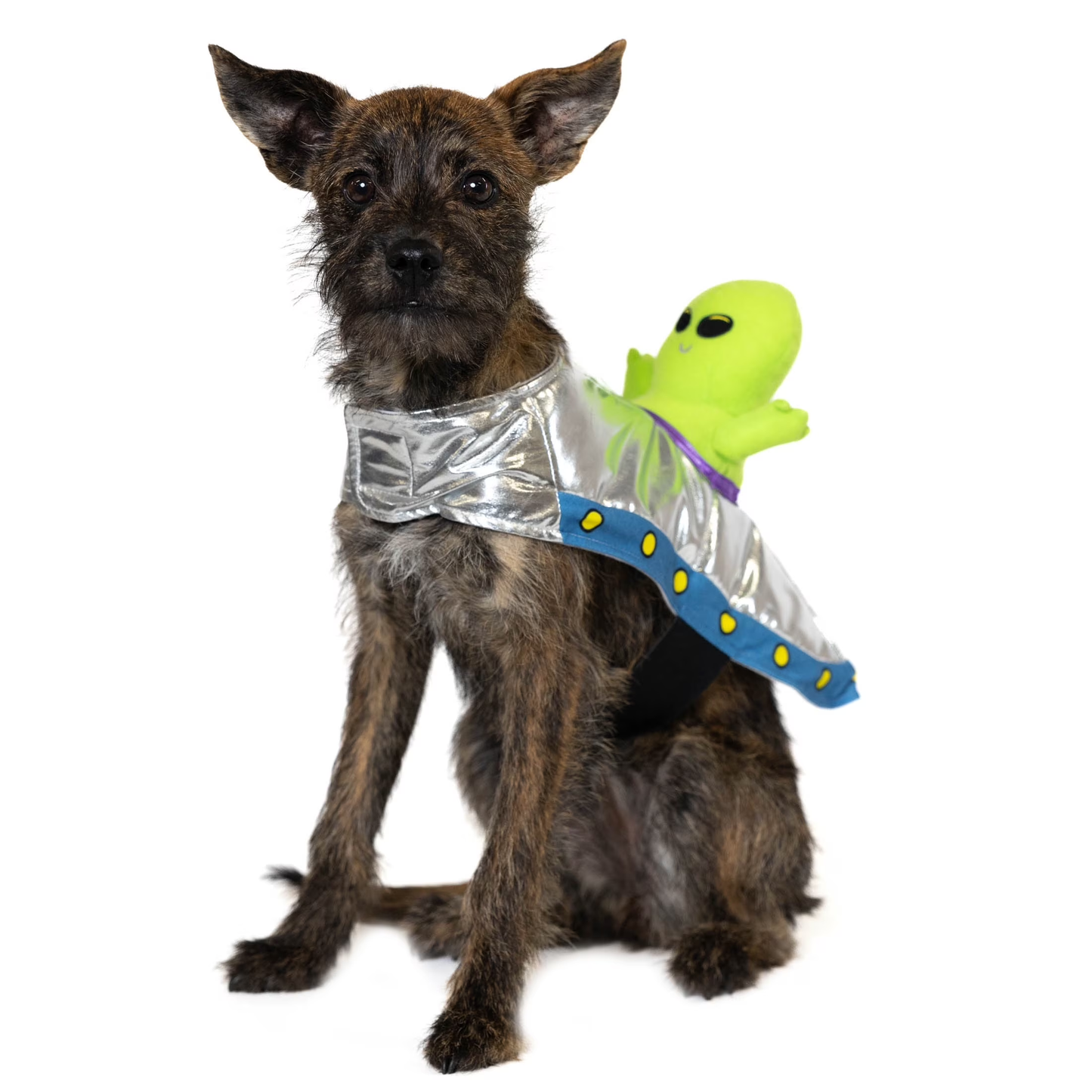 Halloween Alien Costume