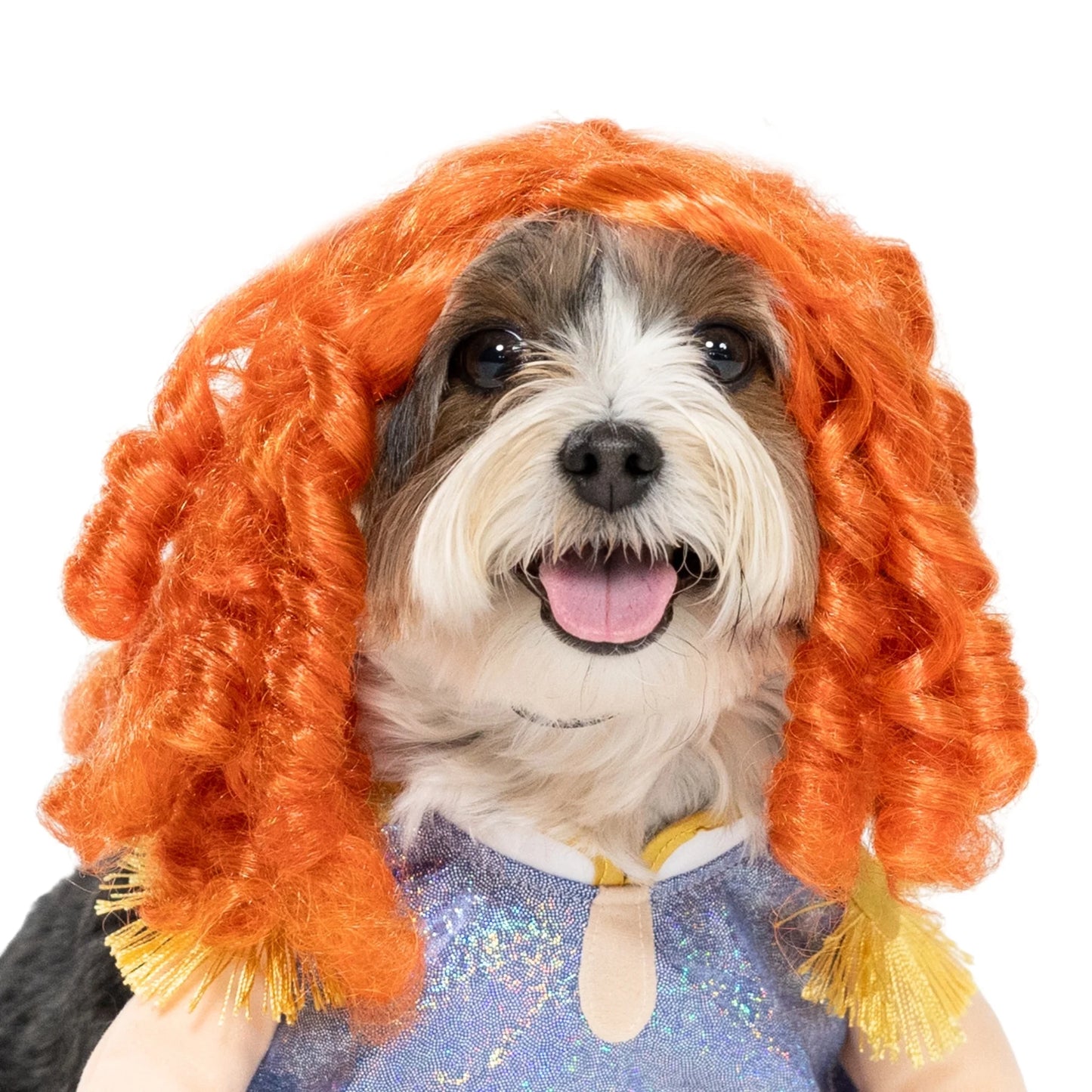 Halloween Costume for Dogs and Cats