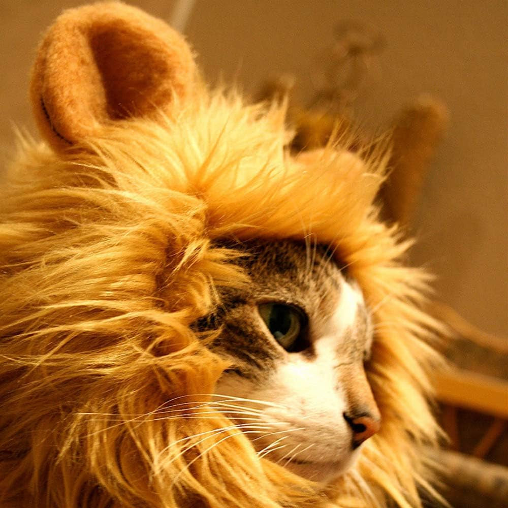 Lion Mane Wig