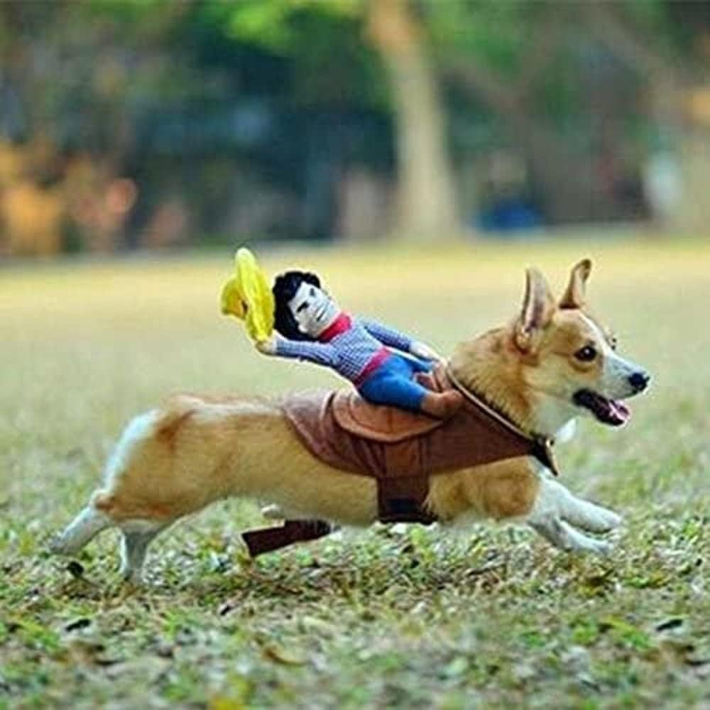 Cowboy Dog Cat Costume 