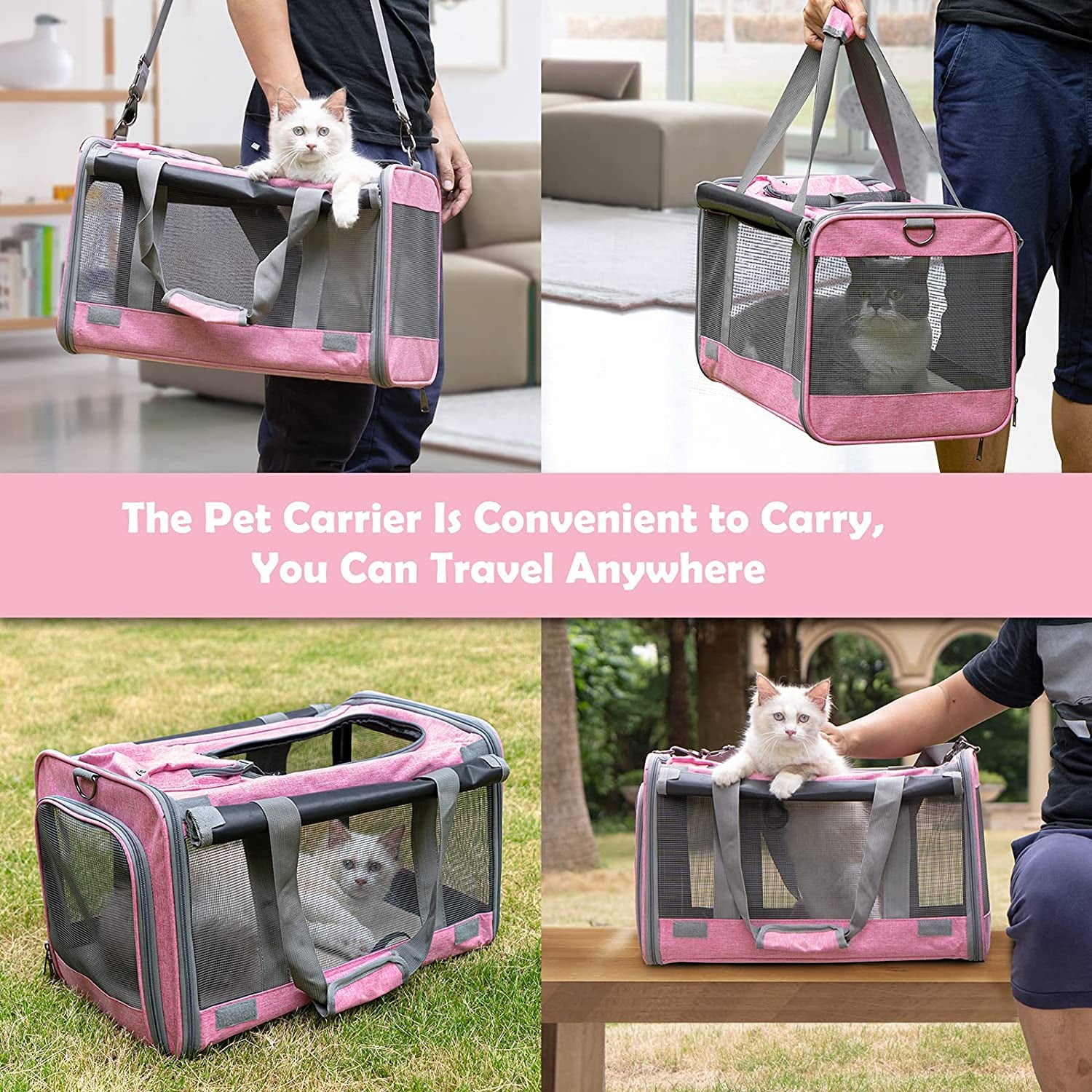 Pet Carrier 