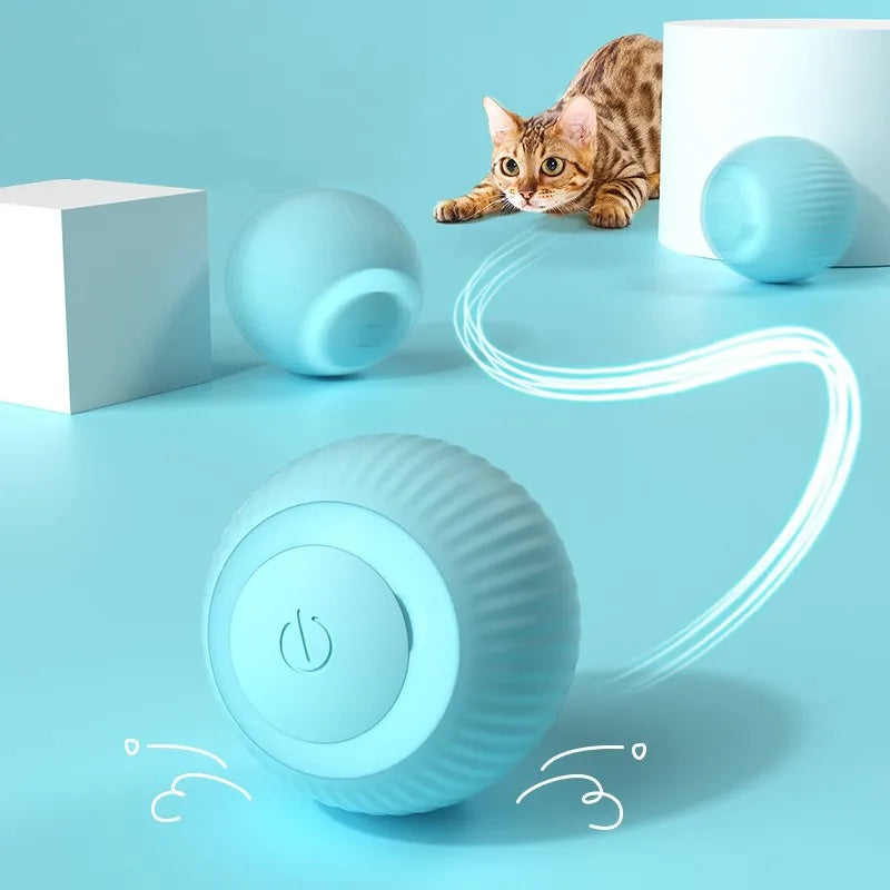 Cat Interactive Ball