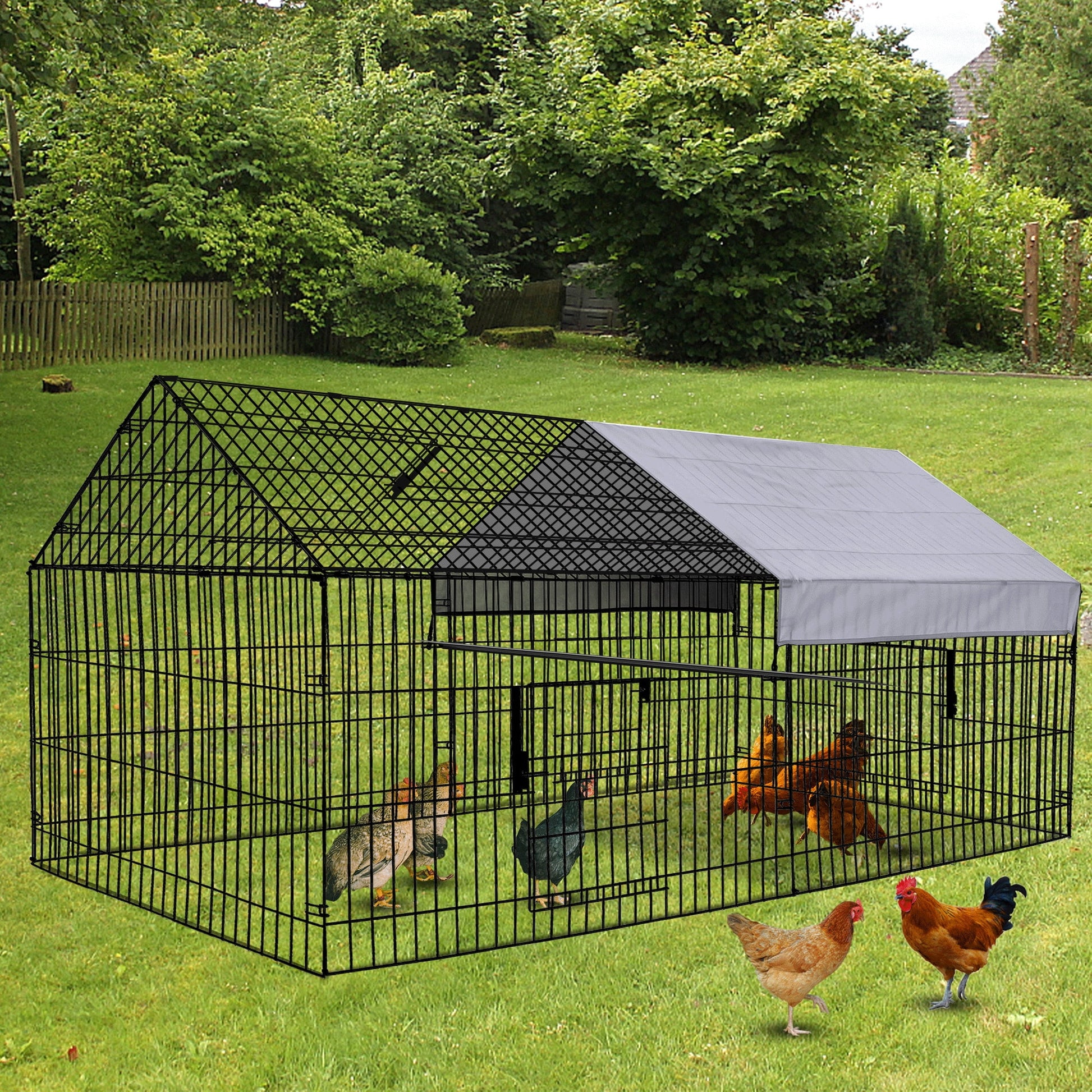 Chicken Coop