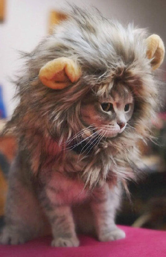 Lion Mane Wig