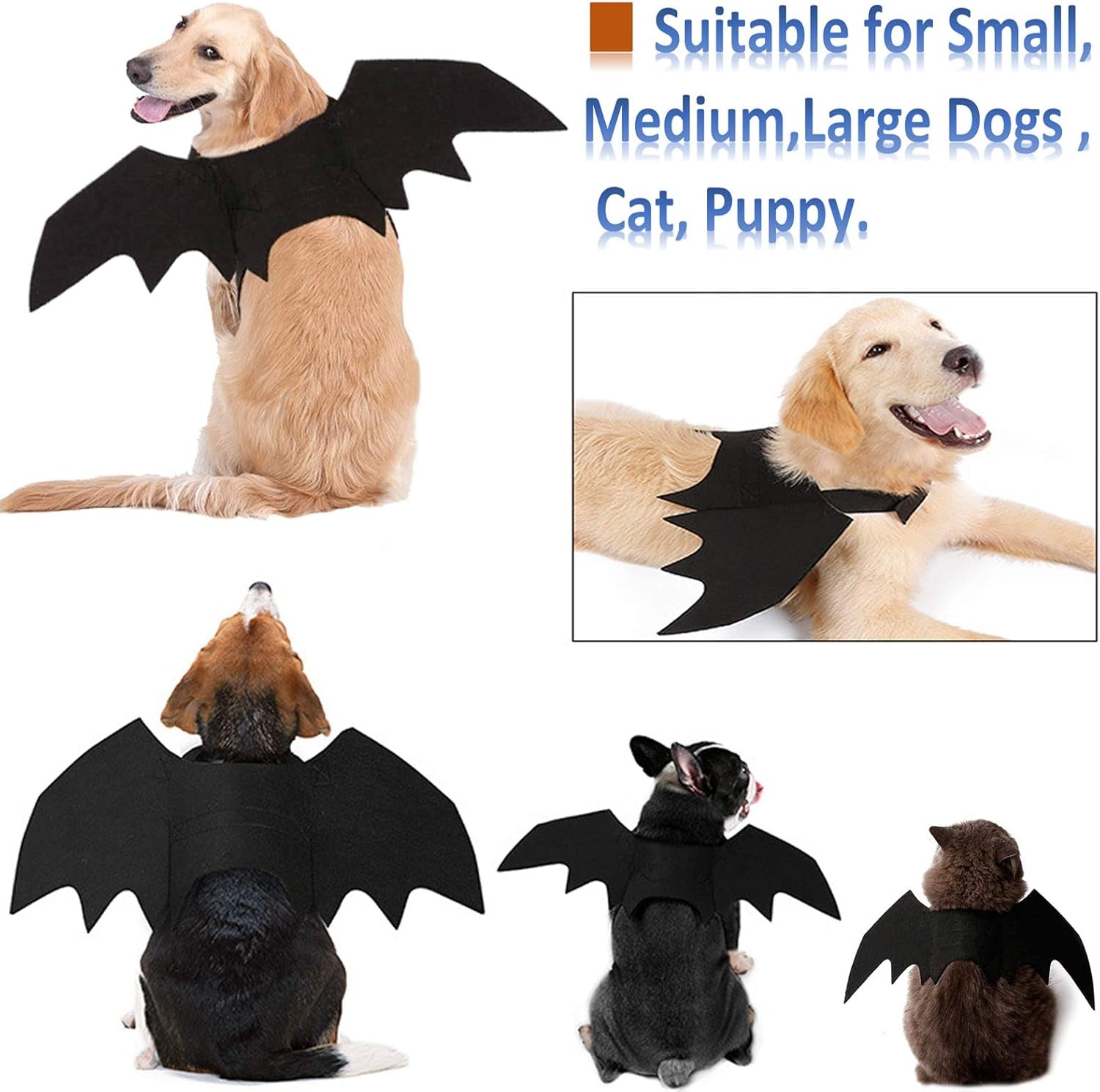 Pet Bat Wings Costume