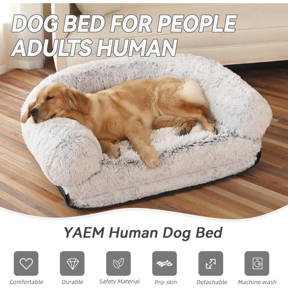 Human Dog Bed