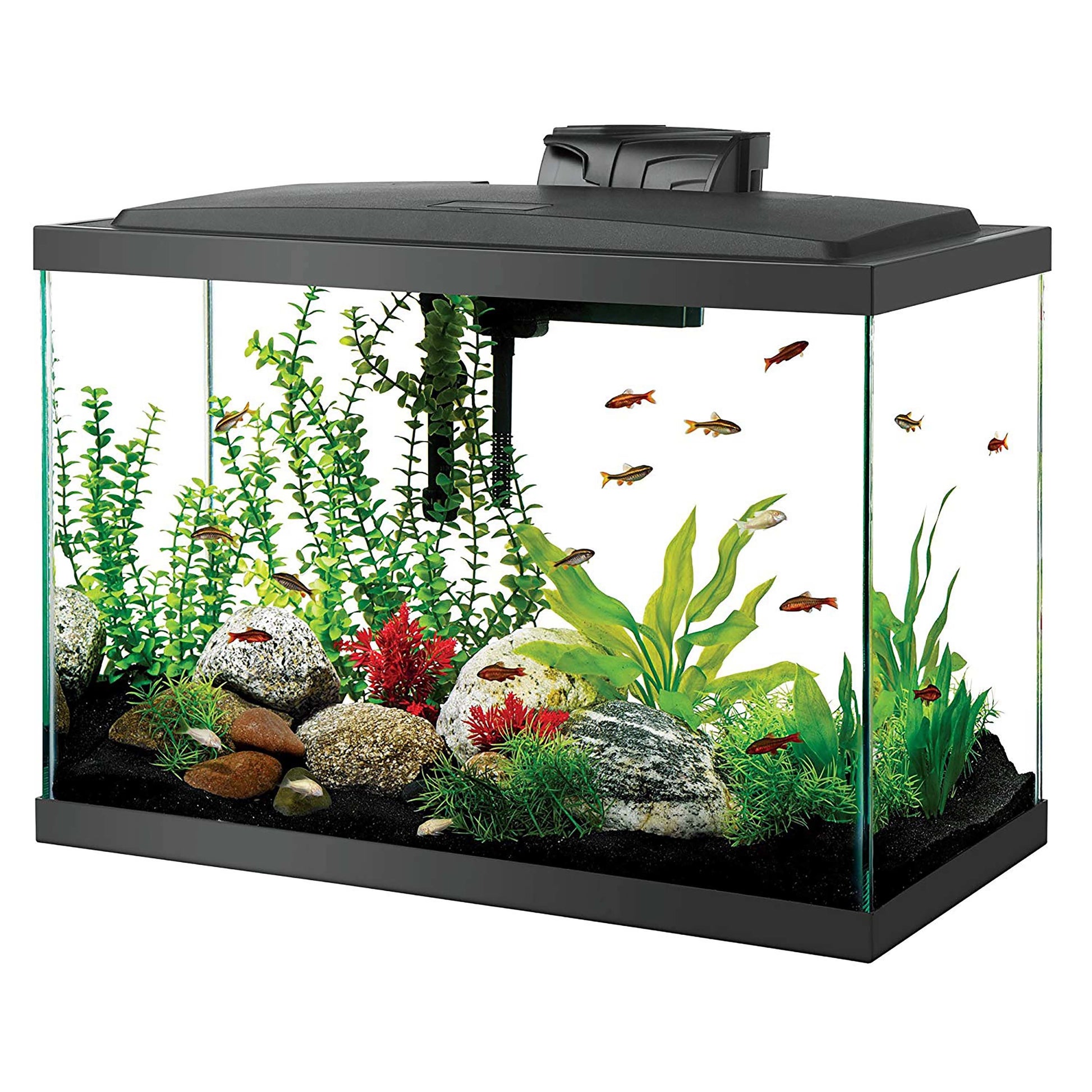 Aquarium Starter Kit 