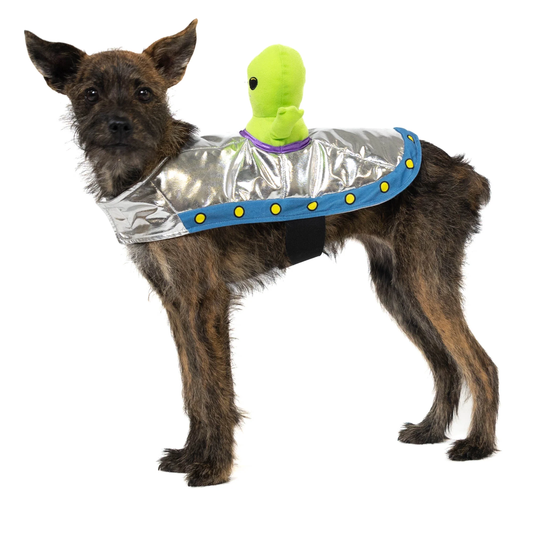 Halloween Alien Costume