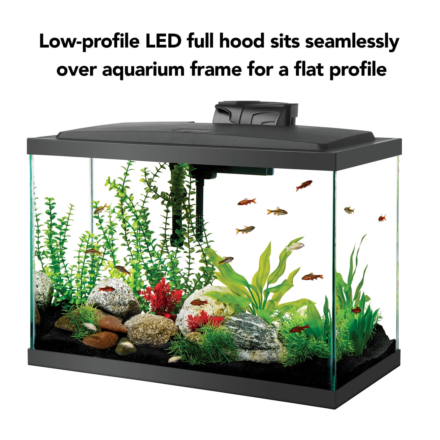 Aquarium Starter Kit 