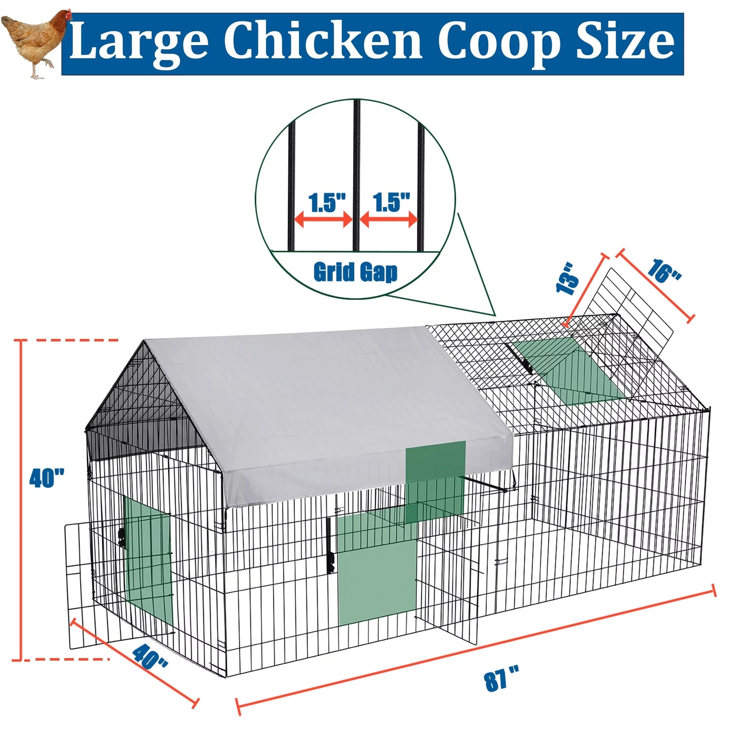 Chicken Coop