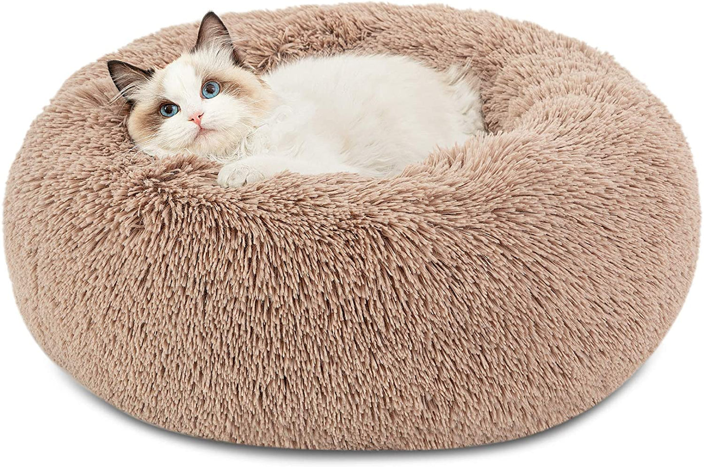 Calming Cat Bed