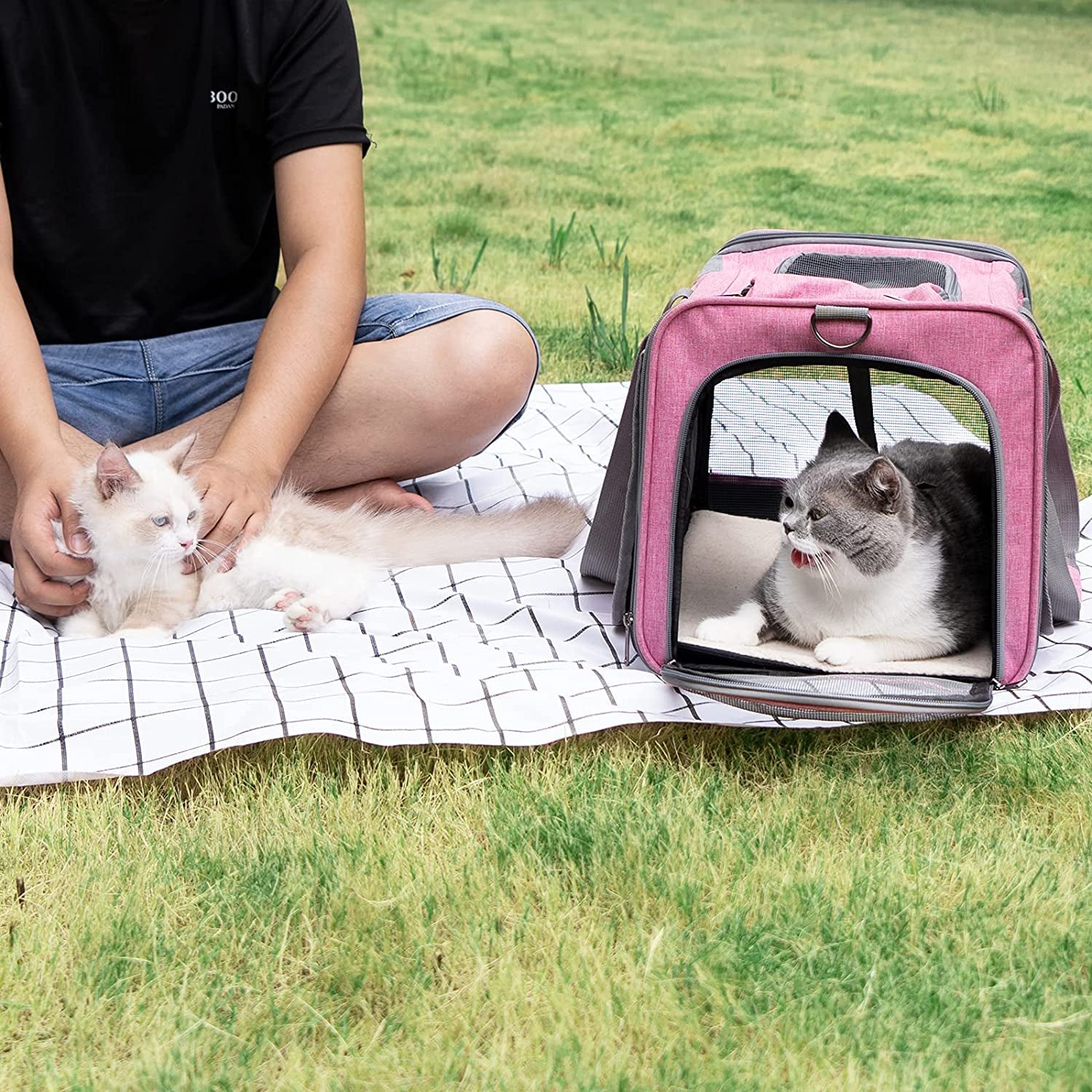 Pet Carrier 