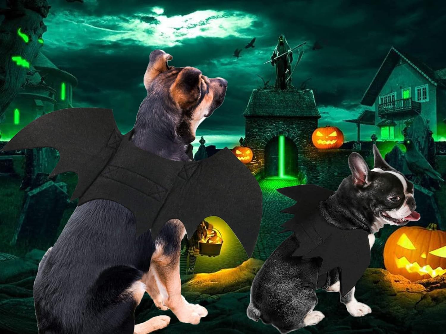 Pet Bat Wings Costume