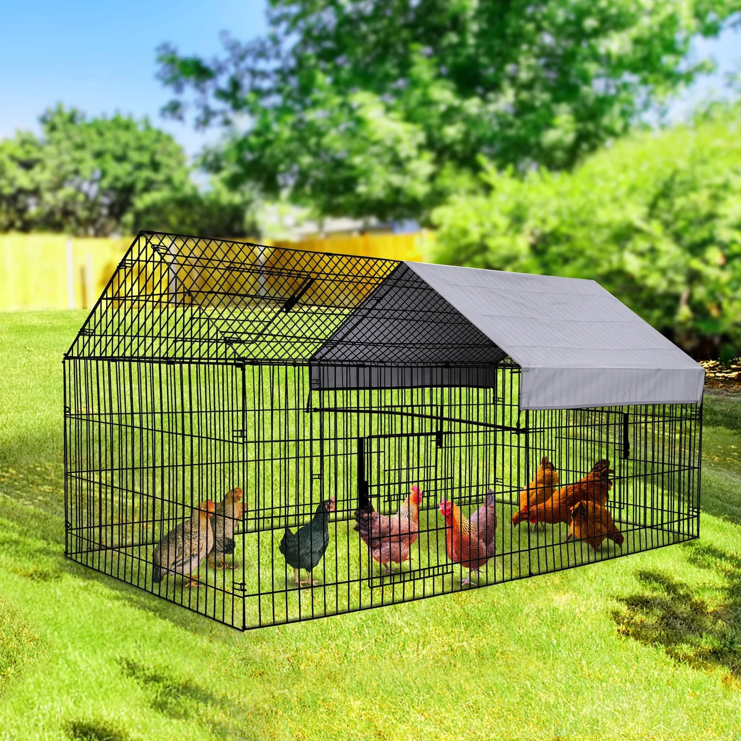 Chicken Coop