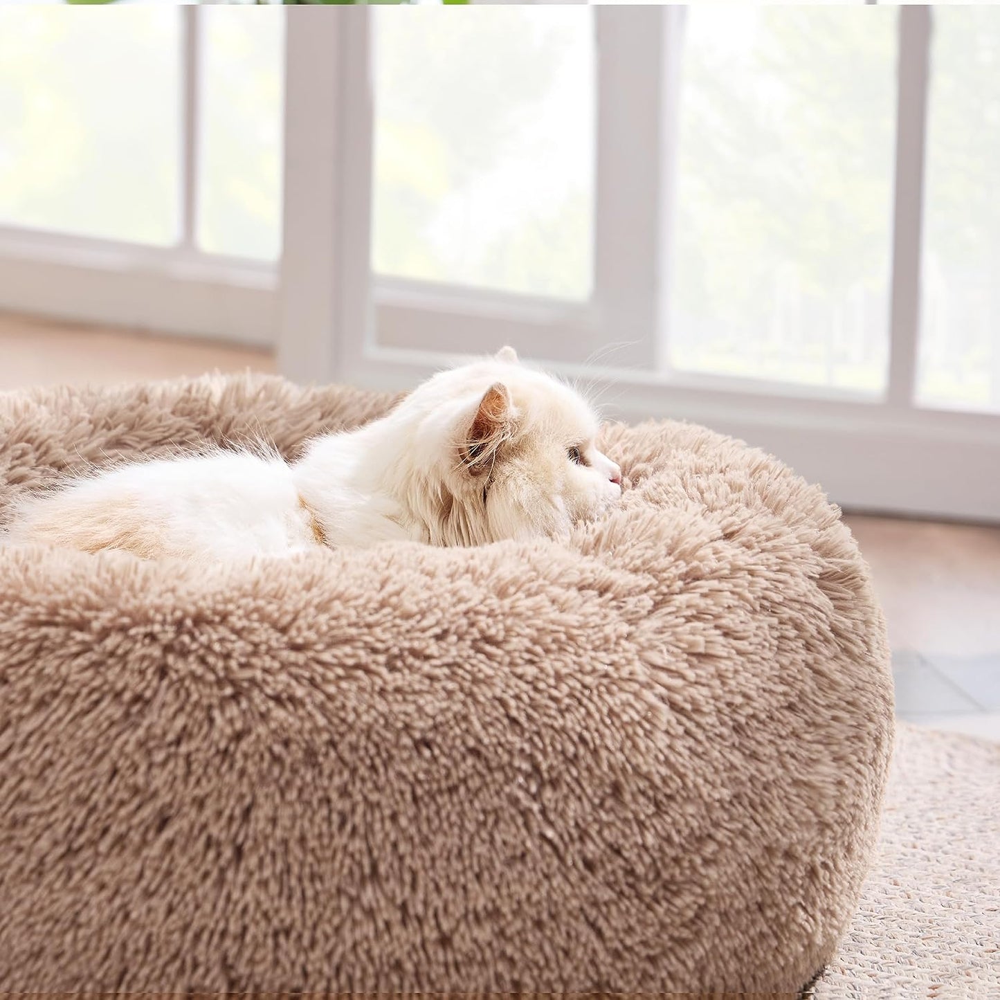 Calming Cat Bed